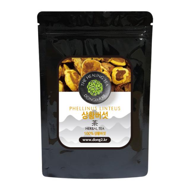 동이약초 중국산 상황버섯, 100g, 1개