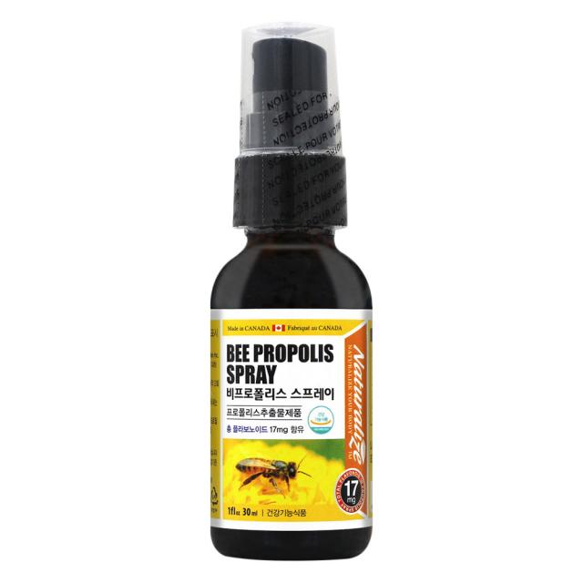 네추럴라이즈 비프로폴리스 스프레이 30ml 1개