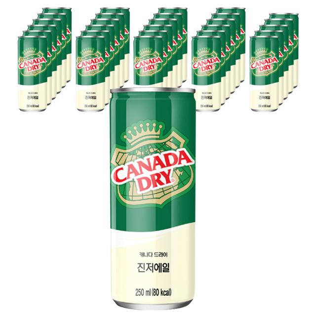 캐나다드라이 진저에일, 250ml, 30개