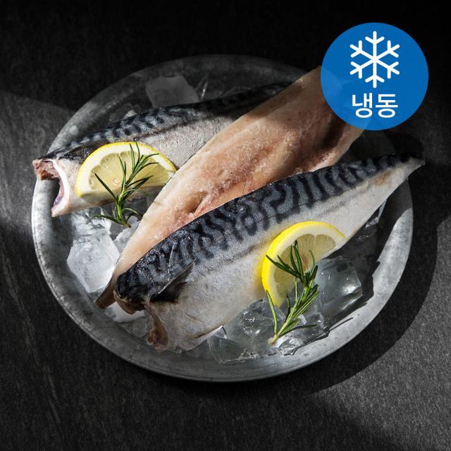서풍 노르웨이 간고등어살 (냉동), 1kg, 1개