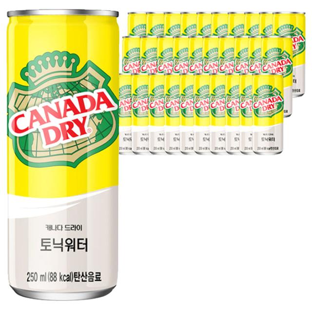 콜라 카나다드라이 토닉워터 250mlx30캔, 250ml, 30캔