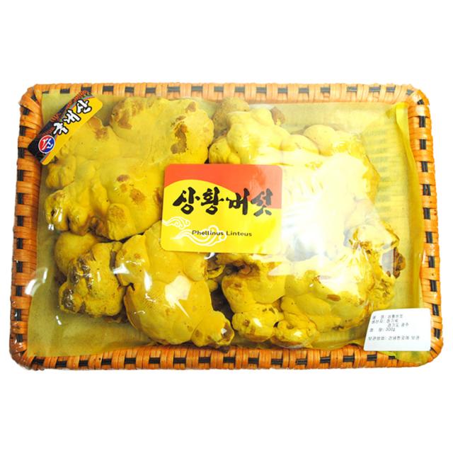 동광 바구니 상황버섯 국내산, 300g, 1개
