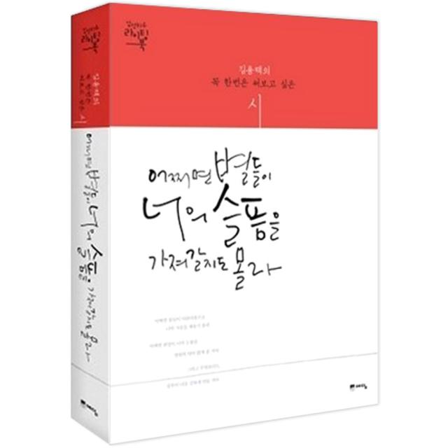 어쩌면 별들이 너의 슬픔을 가져갈지도 몰라 : 김용택의 꼭 한번 필사하고 싶은 시 예담