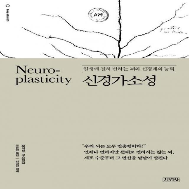 [김영사]신경가소성 (일생에 걸쳐 변하는 뇌와 신경계의 능력), 김영사