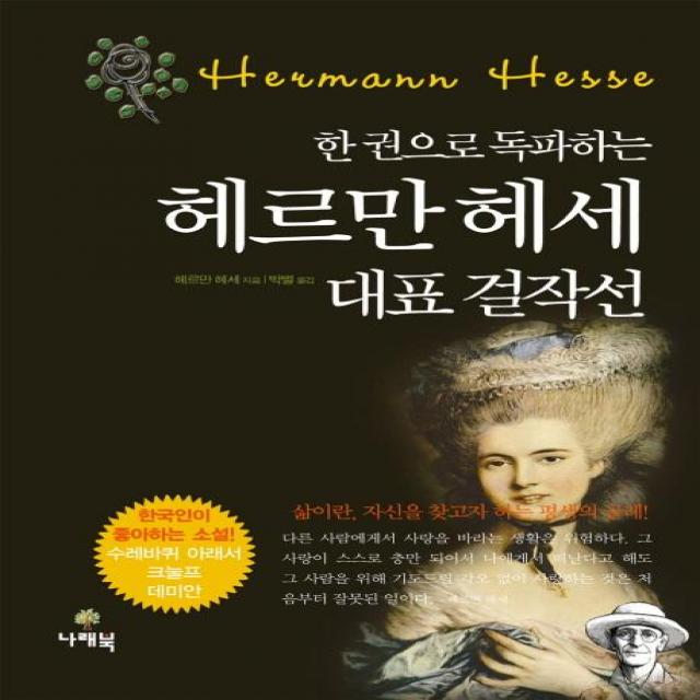  나래북 헤르만 헤세 대표 걸작선 한 권으로 독파하는 나래북
