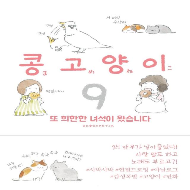 [비채]콩고양이 9 : 또 희한한 녀석이 왔습니다, 비채