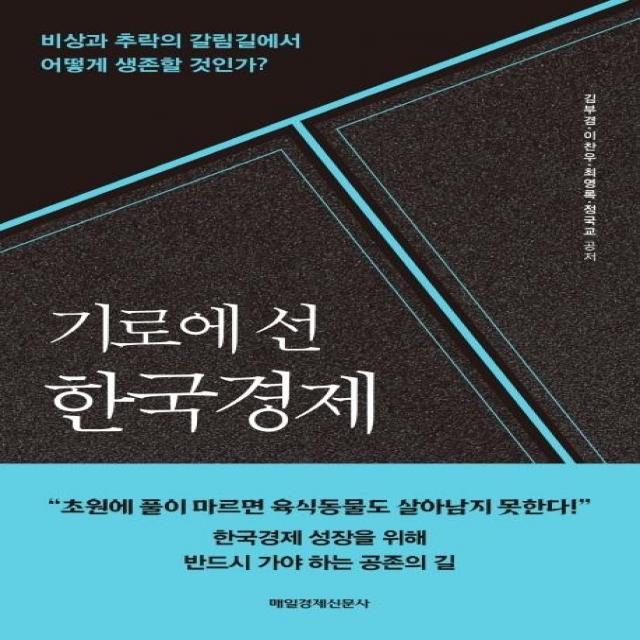  매일경제신문사 기로에 선 한국경제 : 비상과 추락의 갈림길에서 어떻게 생존할 것인가? 매일경제신문사