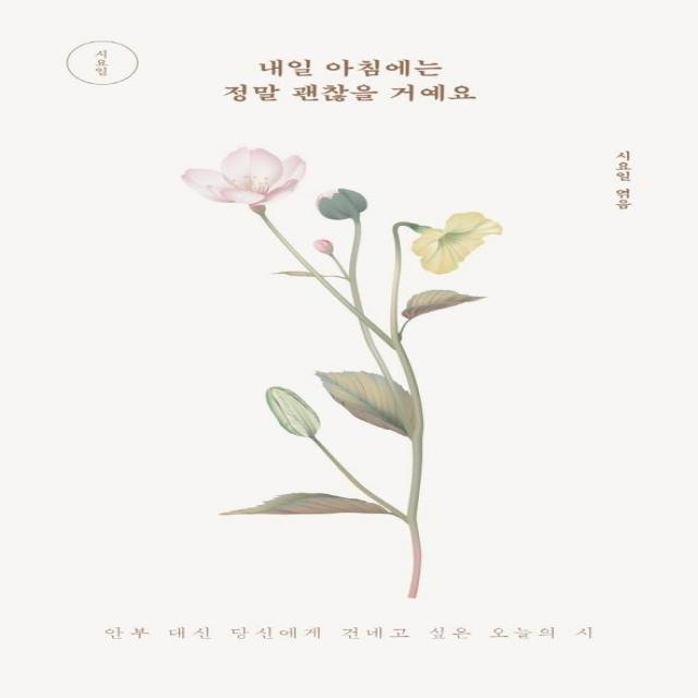 내일 아침에는 정말 괜찮을 거예요:안부 대신 당신에게 건네고 싶은 오늘의 시, 미디어창비