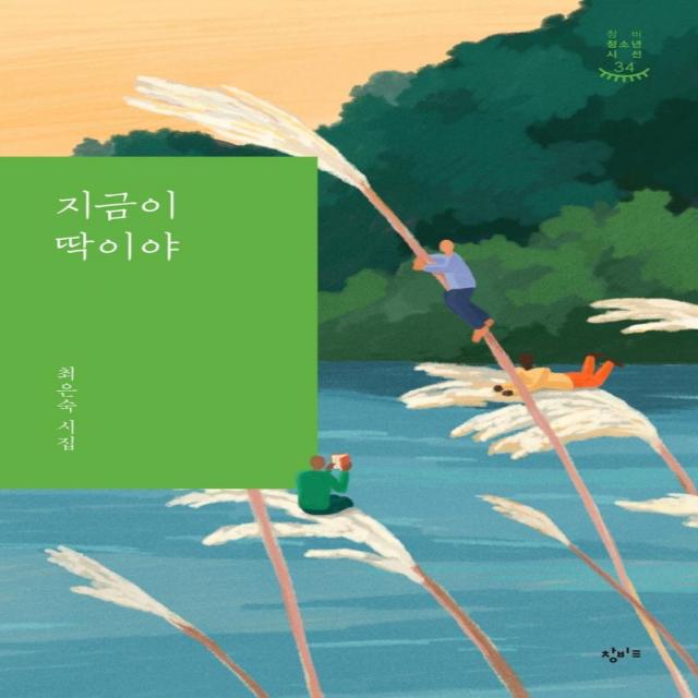 [창비교육]지금이 딱이야 - 창비청소년시선 34, 창비교육, 최은숙