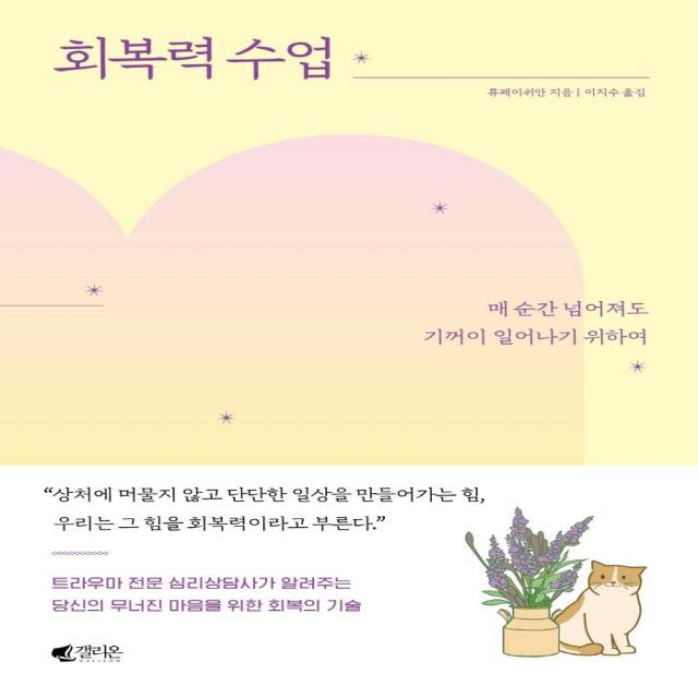 [갤리온]회복력 수업 : 매 순간 넘어져도 기꺼이 일어나기 위하여, 갤리온, 류페이쉬안