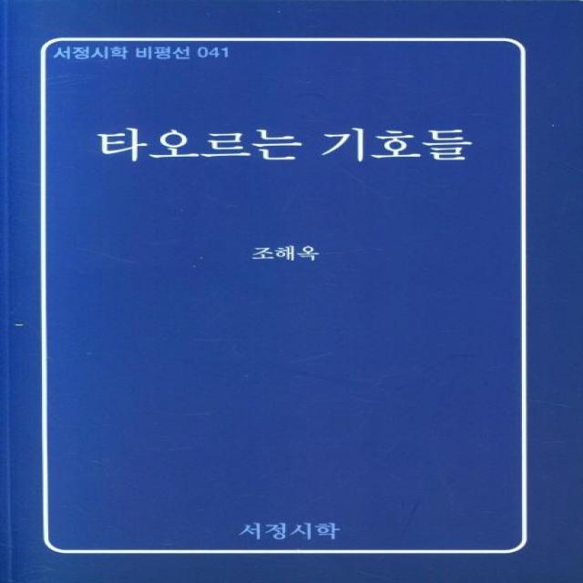 [서정시학]타오르는 기호들 - 서정시학 비평선 41, 서정시학, 조해옥