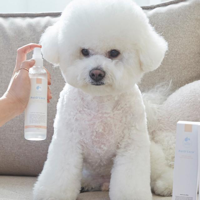 브리지테일 반려동물 페토세라 미스트, 1개, 150ml