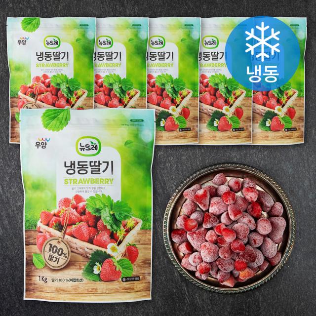뉴뜨레 딸기 홀 냉동 1kg 6개
