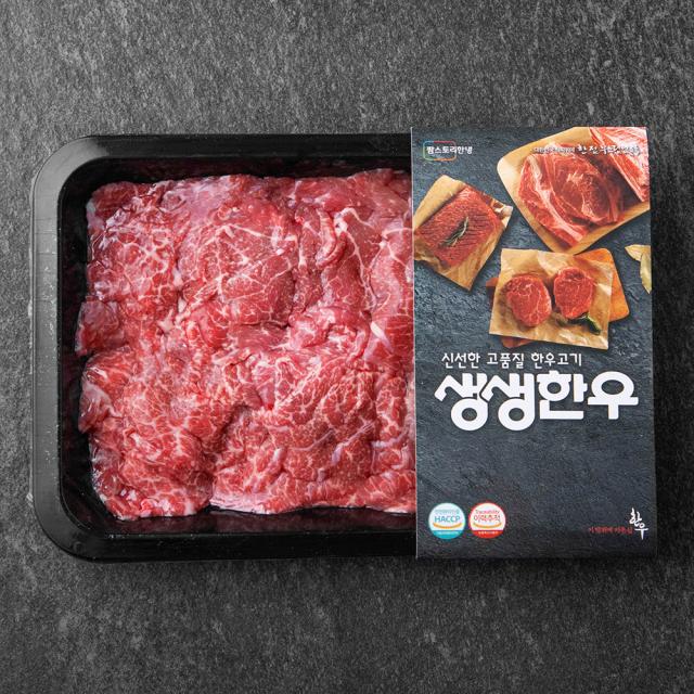 생생한우 1등급이상 불고기용 (냉장), 300g, 1개