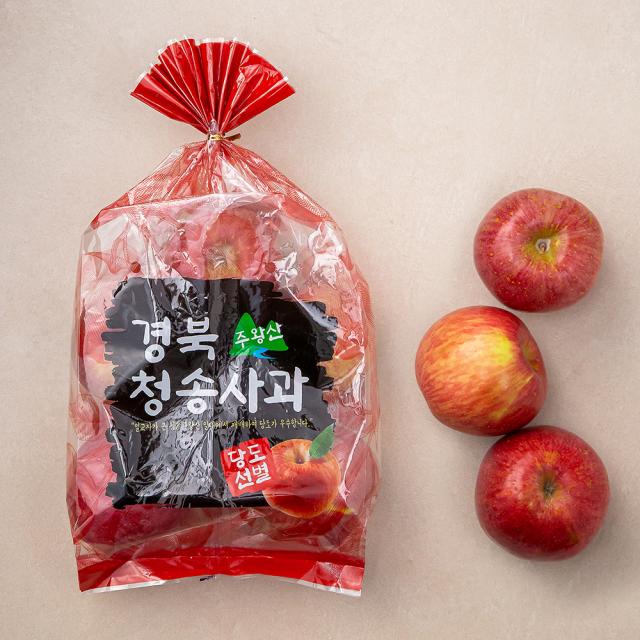 다조은 청송 주왕산 당도선별 사과 1.5kg 4~8입 1개
