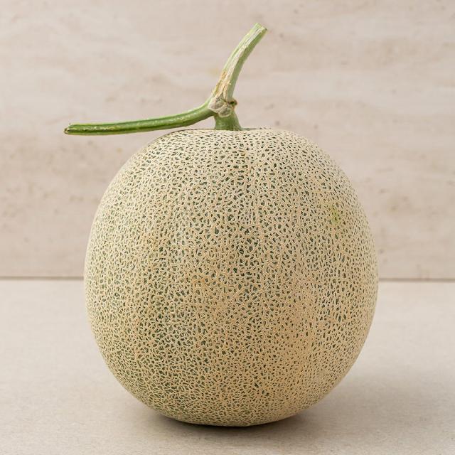 곰곰 머스크멜론 2kg 1개