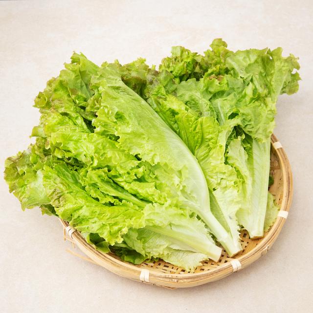 국내산 포기상추 300g 1봉