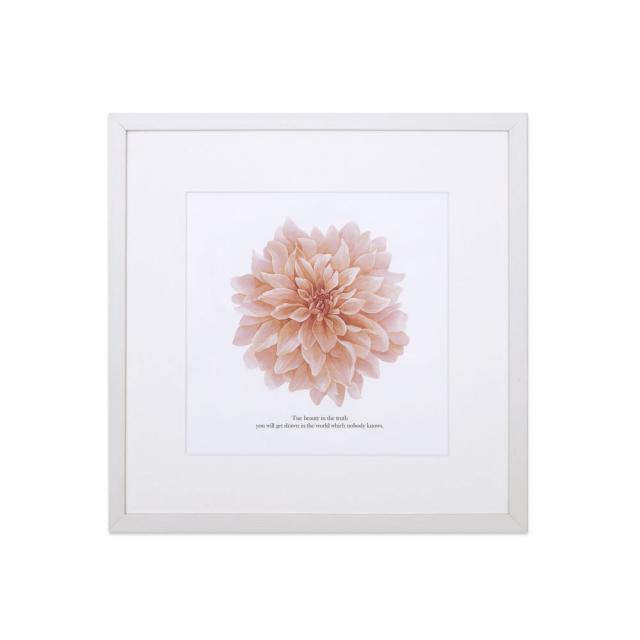 상상후 아트프레임 피오리타A C타입, 화이트