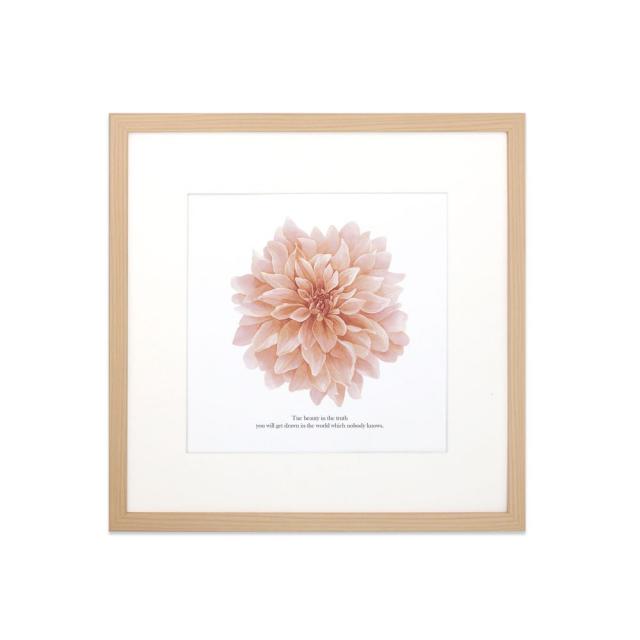 상상후 아트프레임 피오리타A C타입, 블랙