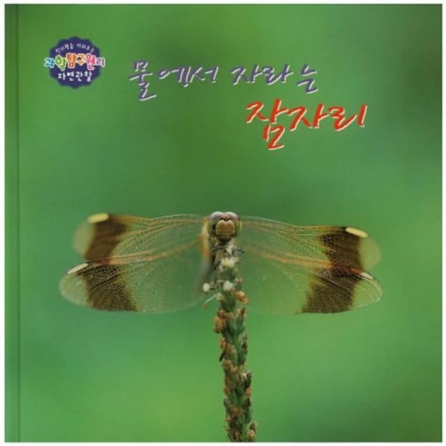 물에서 자라는 잠자리-28(창의력을키워주는과학탐구원리자연관찰), 세종