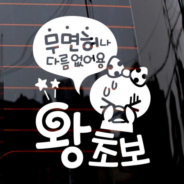제제데코 자동차 스티커 무면허 왕초보 쁘띠, 화이트, 1개