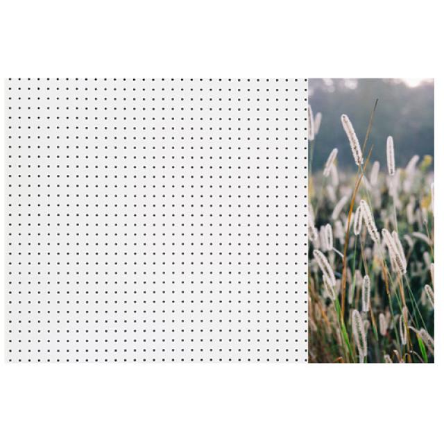 앤비커머스 인테리어 타공판 억새풀 우 WHITE, 1개