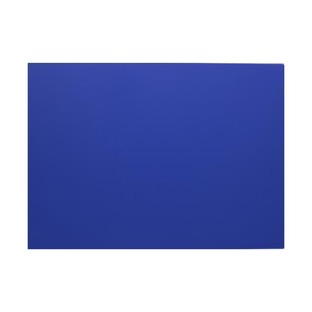 카피어랜드 Pp 제본표지 0.5mm 100p 불투명청색 A4