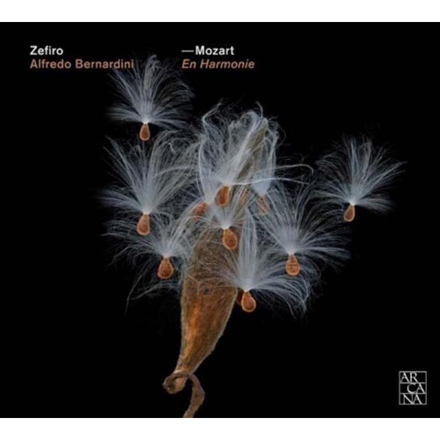 WOLFGANG AMADEUS MOZART - EN HARMONIE/ ZEFIRO ALFREDO BERNARDINI 모차르트: 하모니 - 오페라 기악 편곡 작품집 EU수입반, 1CD