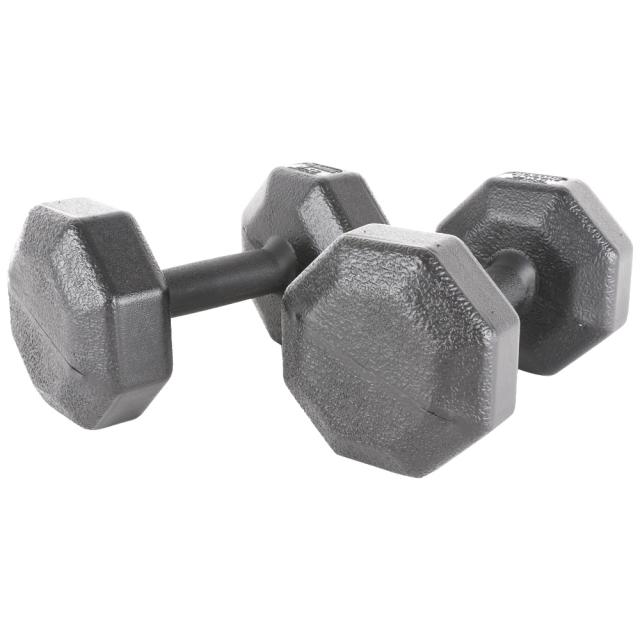 아리프 다이나믹 옥타곤 아령 5kg 2개입