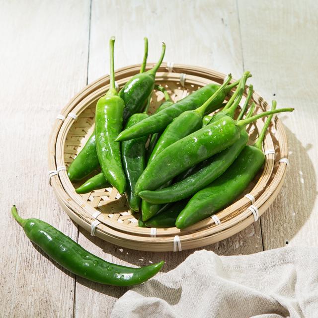 친환경인증 오이맛고추, 300g, 1봉