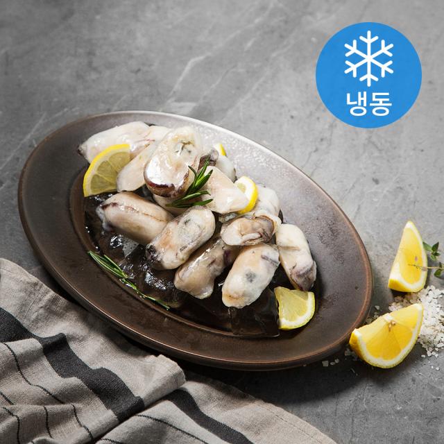 국내산 냉동굴 (냉동), 600g, 1개