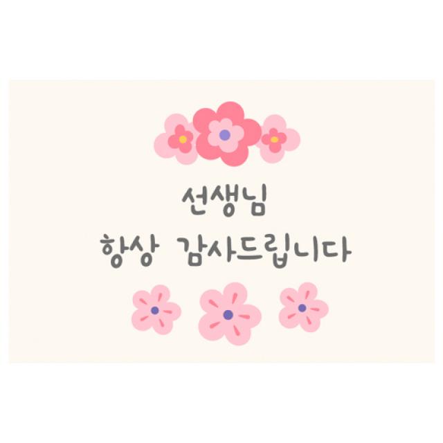 도나앤데코 선생님002 리즈 선생님 항상 감사드립니다 가로형 사각 스티커 6 X 4 Cm 혼합 색상 60개