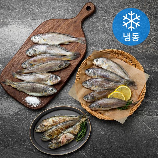 영광법성포 중장대 굴비 (냉동), 60g, 60마리