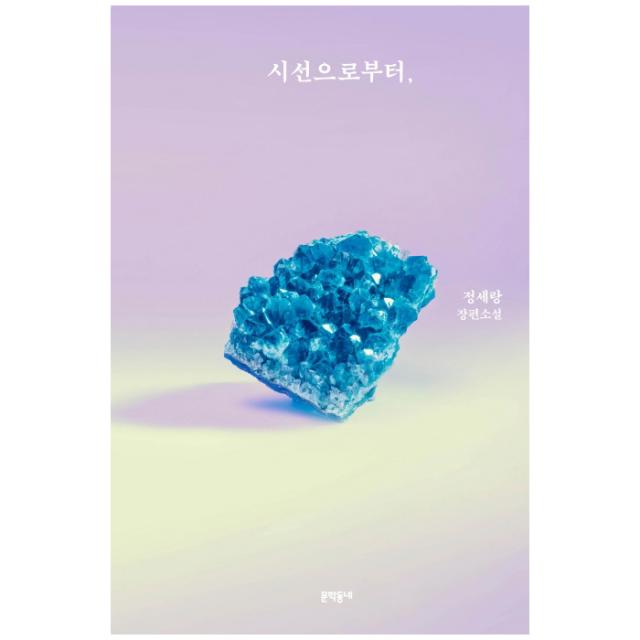 시선으로부터 문학동네