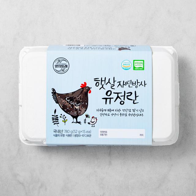 양지뜨레 무항생제 인증 햇살 자연방사 유정란 15구, 780g, 1개