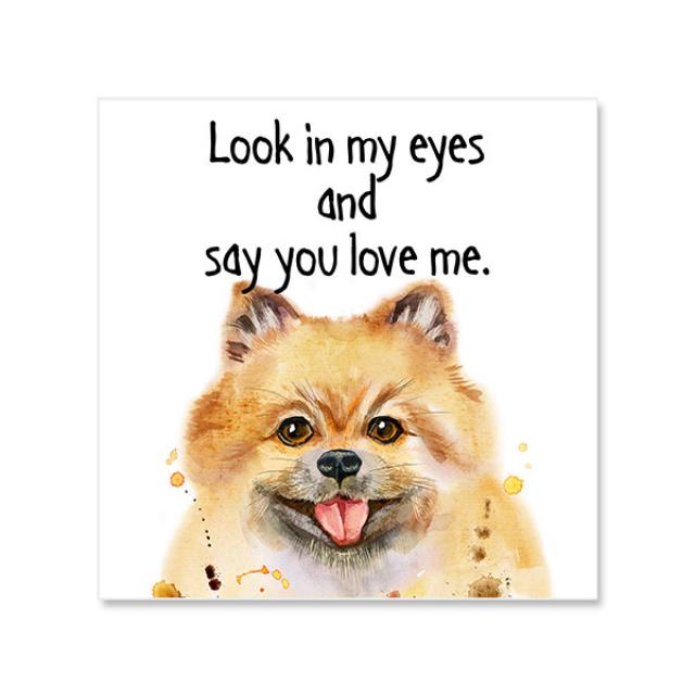 소소한감성 동물 시리즈 수채화 캔버스 프린팅 액자 DOG I SSO-WP_DOG04