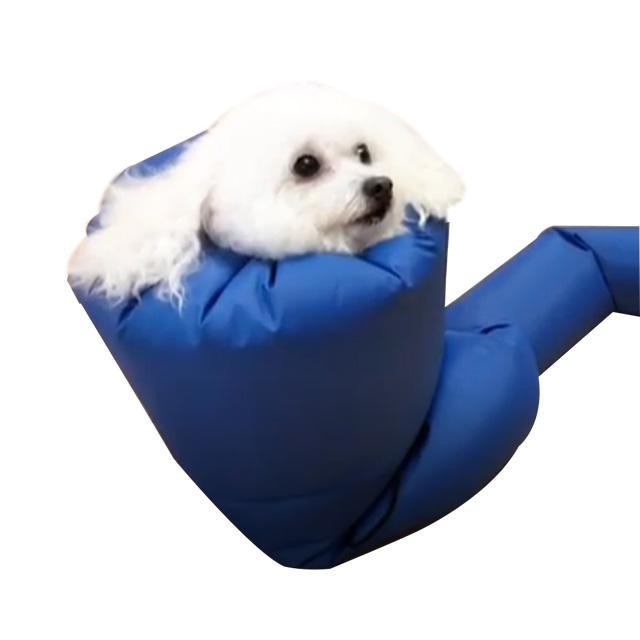예보들 펫 드라이 룸 M, 단일색상, 1개