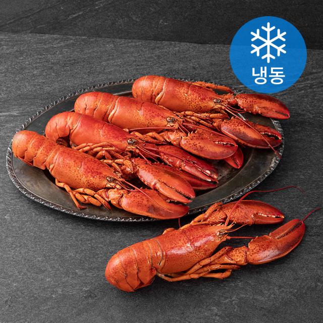 블루씨푸드 캐나다 자숙 랍스터 5미 냉동 2kg 1개