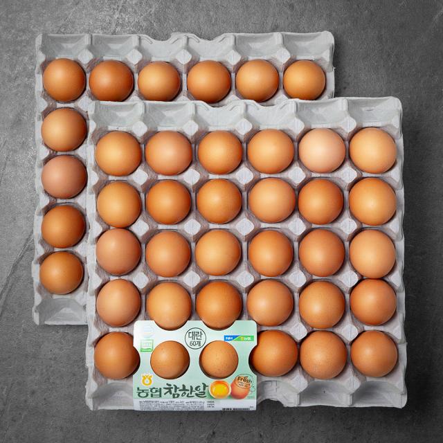 농협 참한알 무항생제 인증 대란, 3120g, 1개