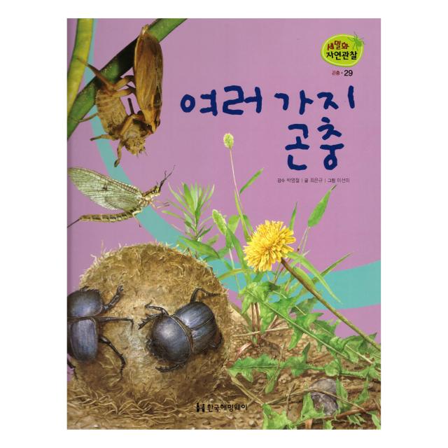 세밀화 자연관찰 29 여러 가지 곤충 곤충, 한국헤밍웨이