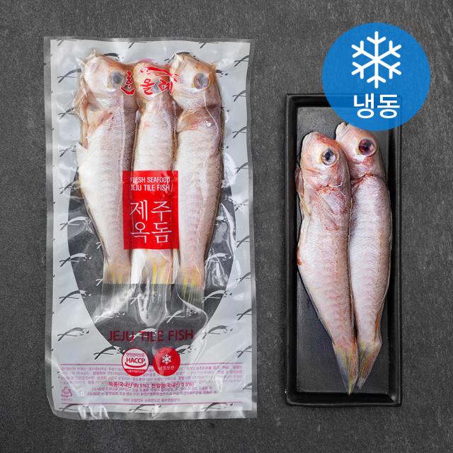 한올레 제주 통옥돔 냉동 300g 2~3미 1팩