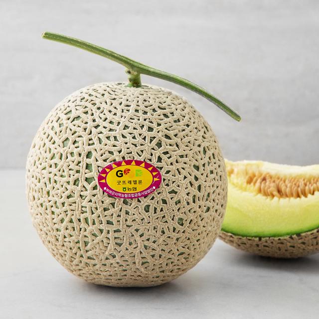 굿뜨래 부여 고당도 멜론 1.6kg 1입