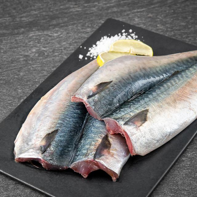 국내산 생물 고등어 2미 구이용, 500g, 1개