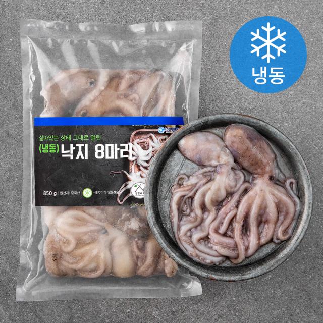 살아있는 상태 그대로 얼린 낙지 냉동 8미 850g 1팩
