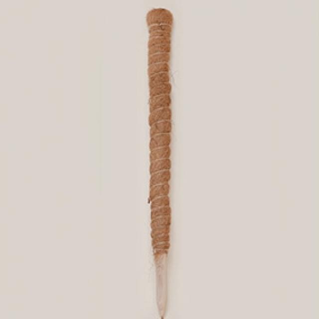 필플랜트 수태봉 화분 넝쿨식물 지지대 단독형 70cm, 1개