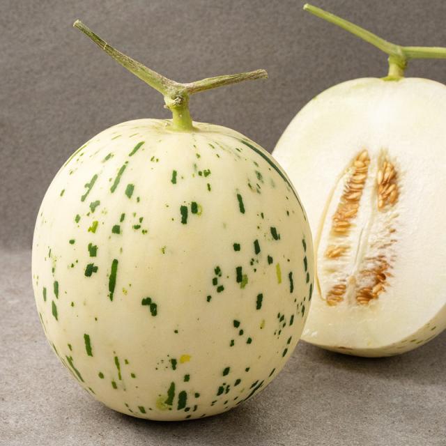 [로켓프레시] 새벽경매 아삭한 백자메론, 1.2kg, 1개