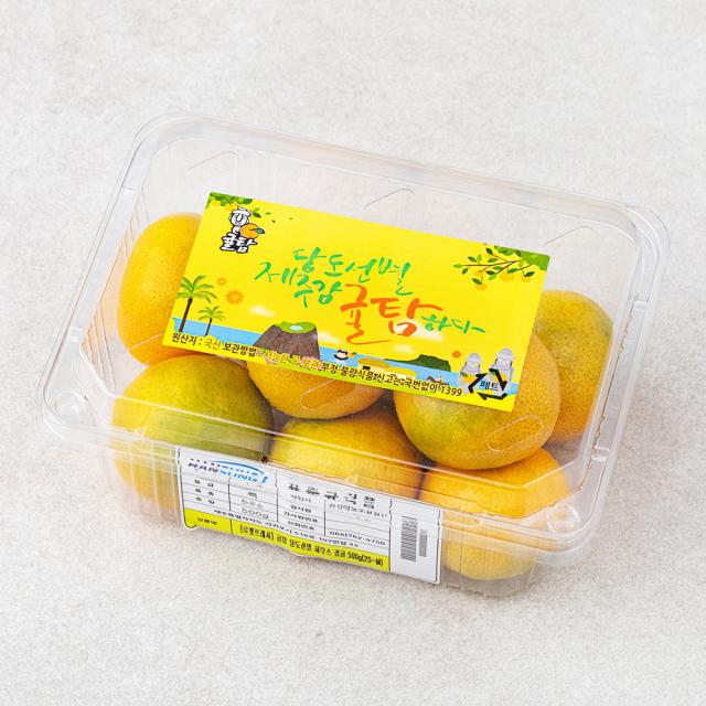 귤탐 당도선별 하우스감귤 2S~M, 500g, 1팩