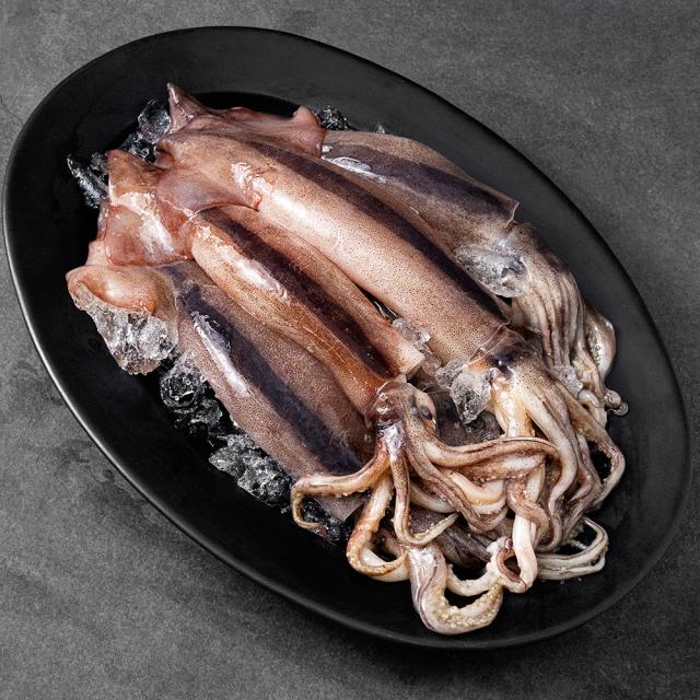 살맛나요 국내산 서해안 산지직송 생물오징어 (냉장), 1개, 900g(5미)