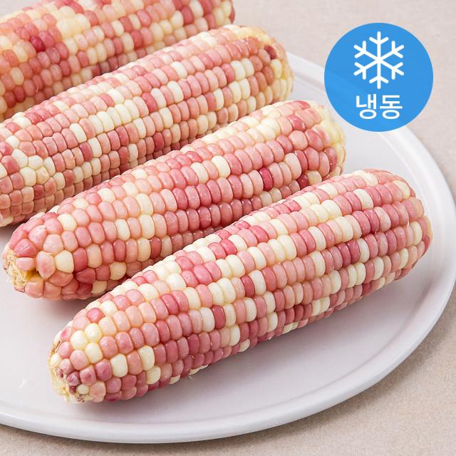알록이 옥수수 (냉동), 1kg, 1개