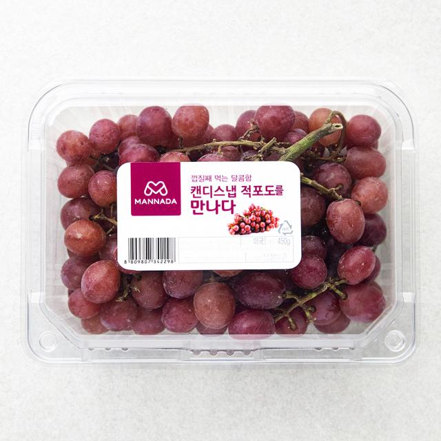 [로켓프레시] 만나다 미국산 캔디스냅 적포도, 450g, 1개